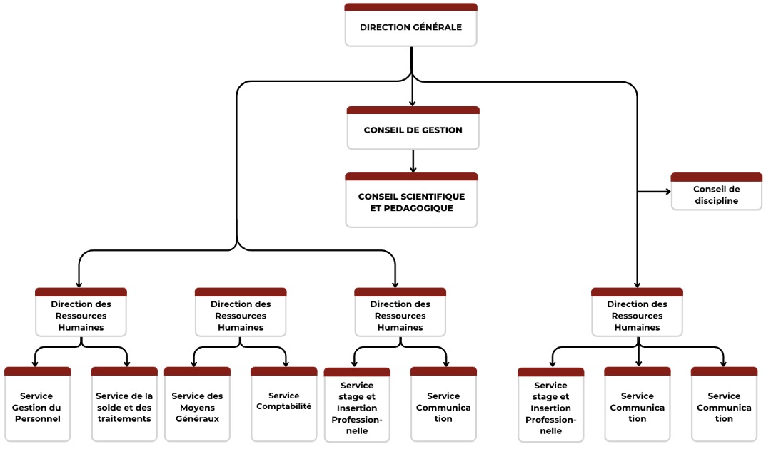 Organigrame de l'école